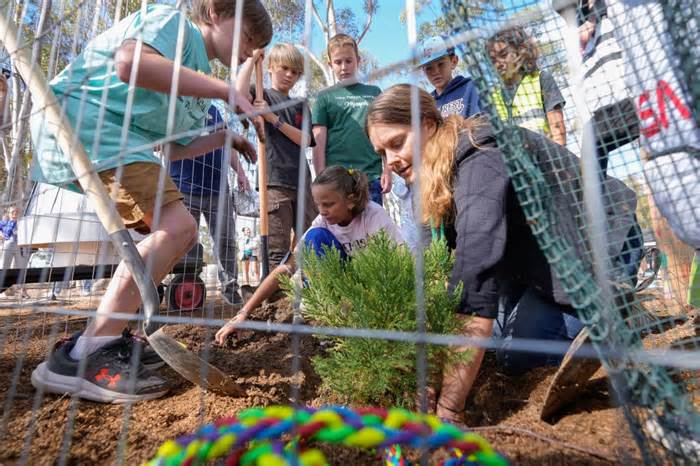 School plants a ‘Moon Tree’ grown with seeds flown in space