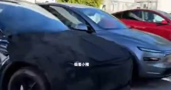 'Budget' Tesla Model Y spied: How EV brand will get the price down