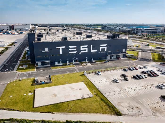 Tesla: Bears Will Regret Overlooking Shanghai Megapack Factory (Upgrade)