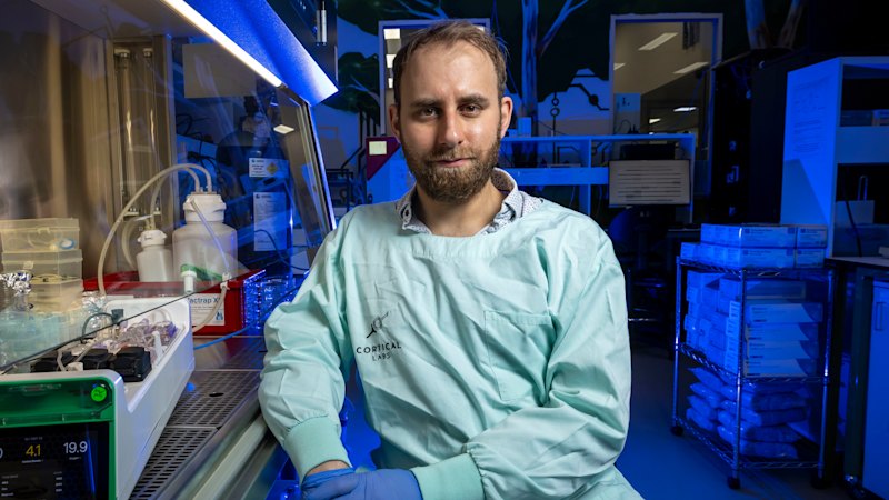 Artificial brain, real human brain cells: the weird, possible future of computing
