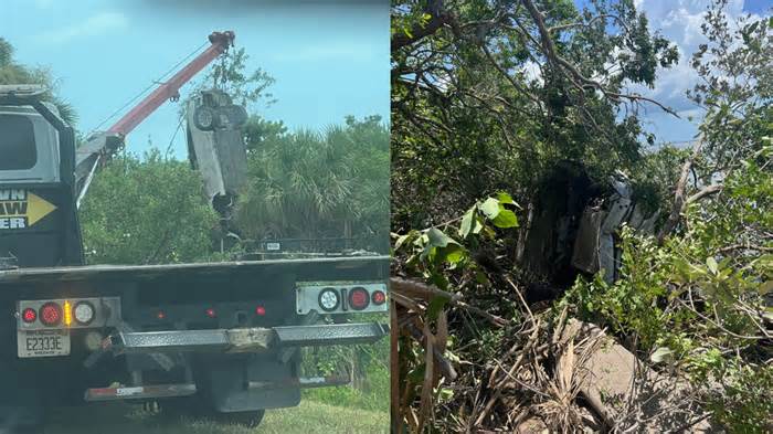 FHP: Man hospitalized after losing control of Tesla near Skyway Bridge, crashing into mangroves