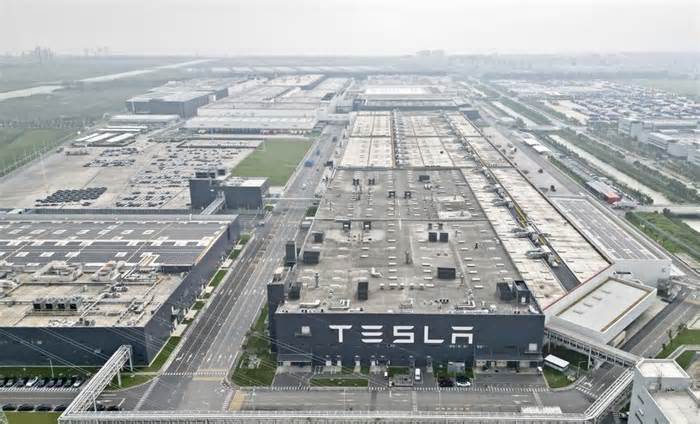 Tesla's China operations demonstrate potential of win-win cooperation