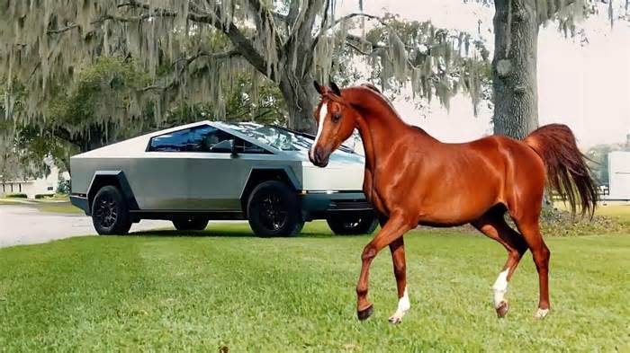 My Tesla Cybertruck Startled My Elderly Neighbor’s Horse; She Fell & Broke 8 Ribs – Deers & Gazelles are Also No Cybertruck Fans