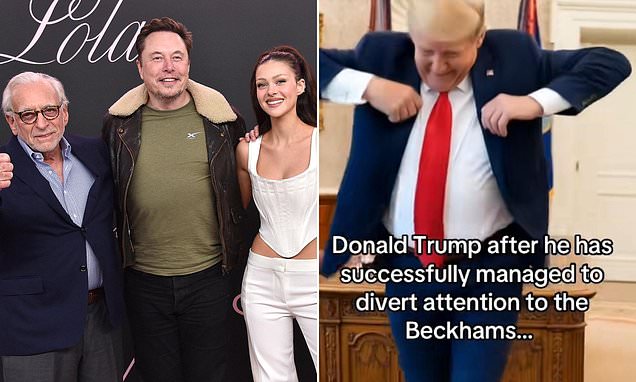 'Would anyone notice if Greenland was invaded?' Wild conspiracy theories swirl over Beckham feud as social media users suggest it's a Trump ruse to distract attention from world events
