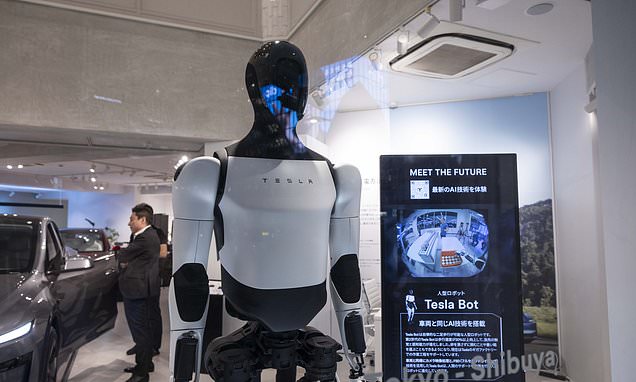 Robots from the likes of Tesla could be the next frontier in the AI revolution: Should you invest?