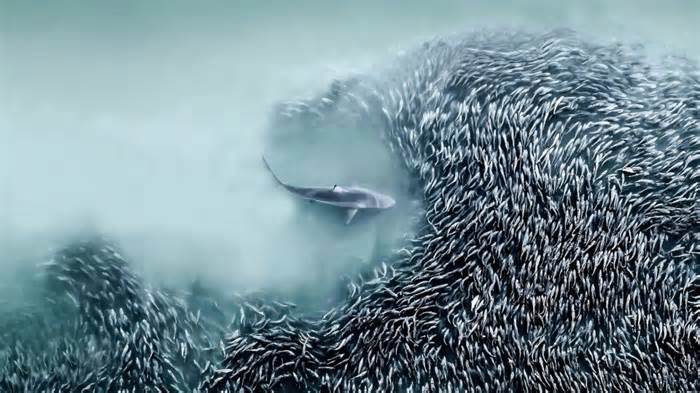 What flood survivors faced, Cybertruck flop, why women live longer: Catch up on the day’s stories