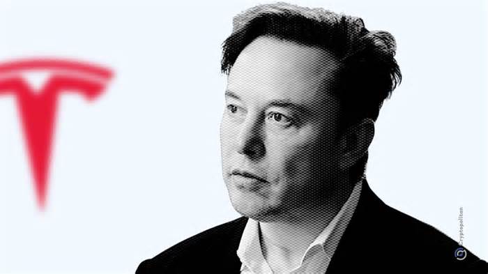 Elon Musk defies doubters, sending Tesla to largest daily gain since 2011