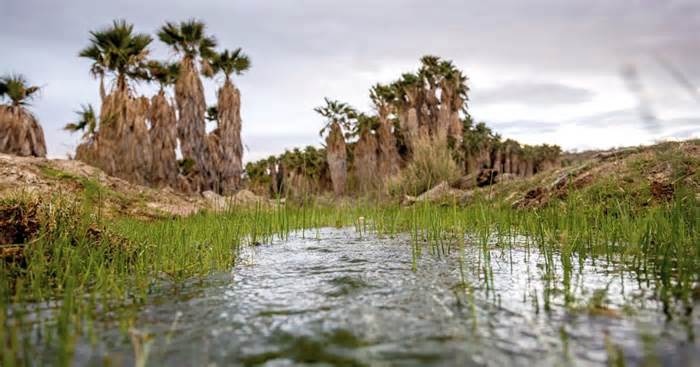 Arizona tribe fights to stop lithium drilling on culturally significant lands