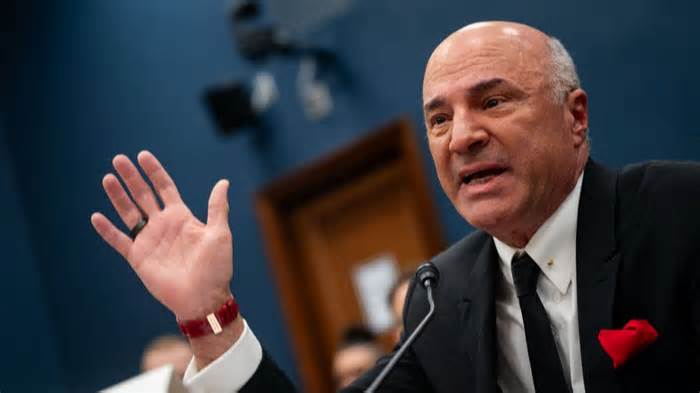 Kevin O'Leary endorses Elon Musk to lead government efficiency commission: 'Release the hounds'