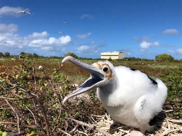 Air Force suspends SpaceX project on Pacific atoll