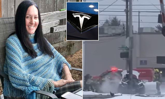 Woman died when runaway Tesla Model 3 sped out of control, crashed and caught fire, claims lawsuit