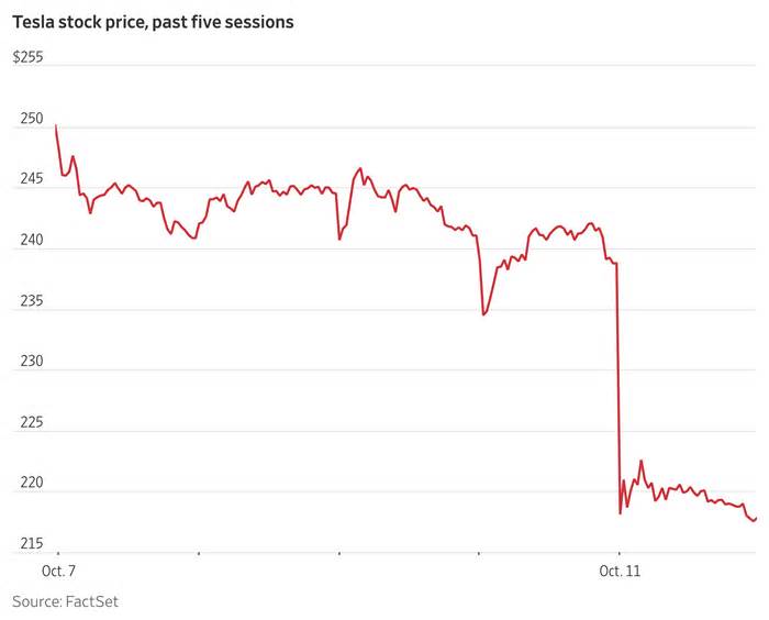 Tesla Stock Fall Erases $67 Billion in Market Value