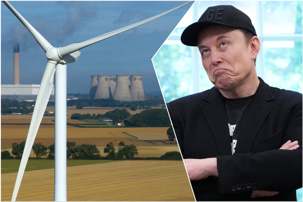 Tesla energy UK: Elon Musk's Tesla Energy Ventures gets provider licence to become UK electricity supplier