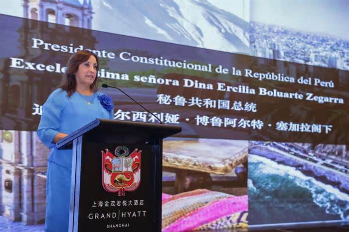 President Boluarte invites Chinese investors to become part of Peruvian development