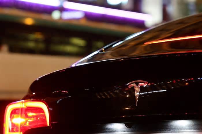 Musk effect? Tesla sales slump in five European markets in January