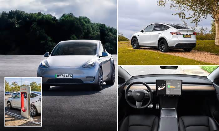 Tesla unveils Long Range Rear-Wheel Drive Model Y - and the new version of the UK's best-selling EV comes with 373 miles of range