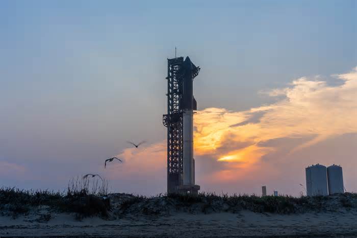 SpaceX will attempt to catch Starship after its fifth launch