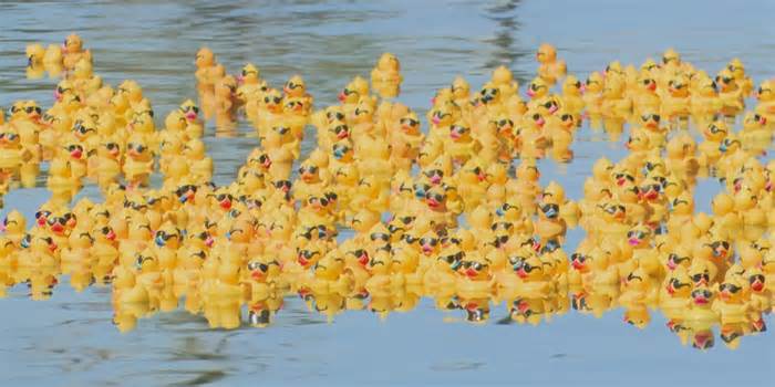 Rubber duck race in the Brazos River raises money to give free books to children