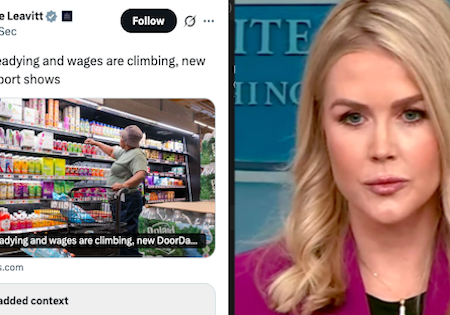 Karoline Leavitt used Door Dash data to claim that Trump had food prices under control – 15 calorific comebacks