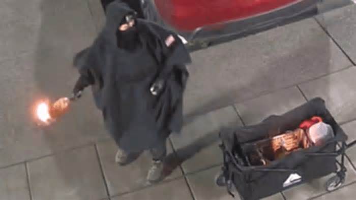 Judge orders pretrial release of Salem Tesla firebomb suspect over prosecutor objections