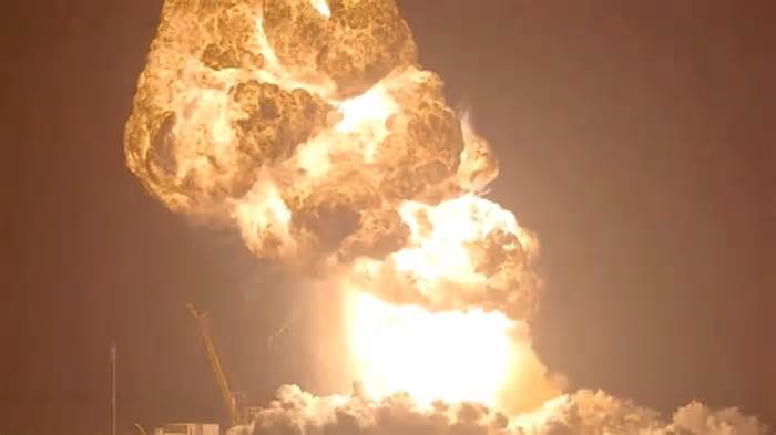SpaceX Starship Explosions Are Harming Mexico's Wildlife: Environmentalists