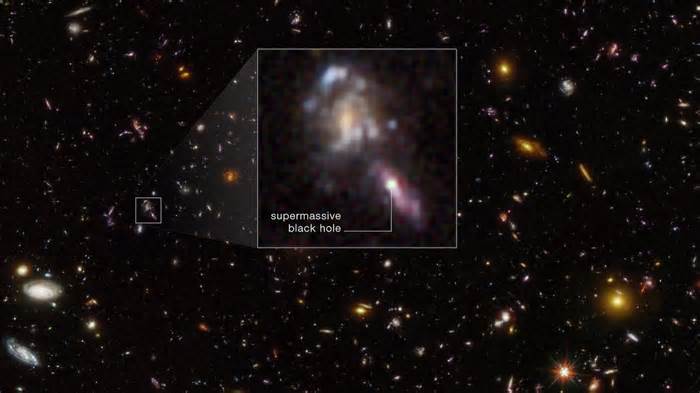 Hubble Space Telescope suggests our ancient universe was surprisingly crowded with supermassive black holes