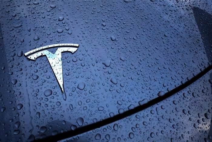 Musk to face questions on Tesla's robotaxi bets on results day