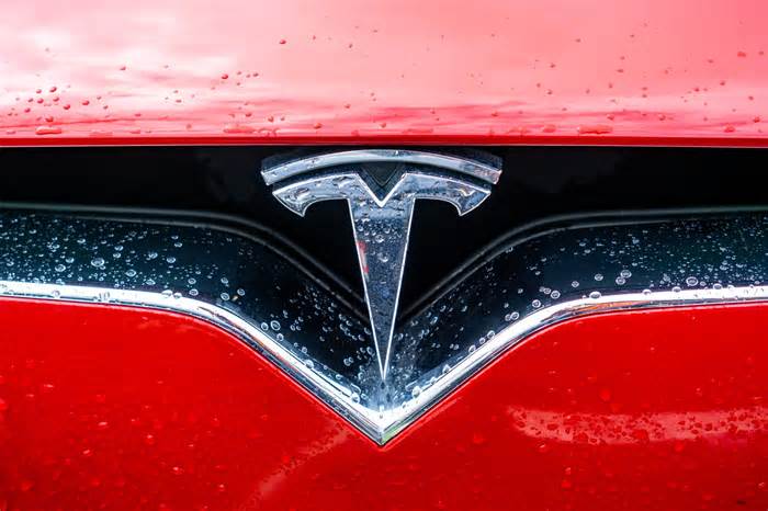 Tesla Reports Best Sales Month in China; Stock Sees Slight Gains