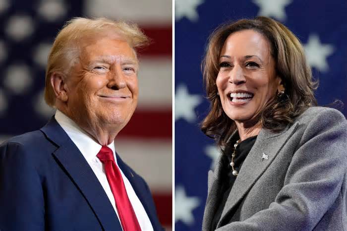 2024 election: Top portfolio plays for a Trump or Harris victory