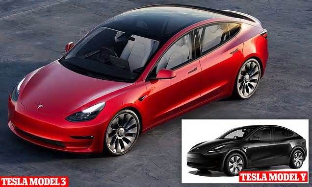 Tesla recall over rear light fault: Model 3, Model Y electric cars ...